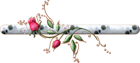 نقره لعرض الصورة في صفحة مستقلة